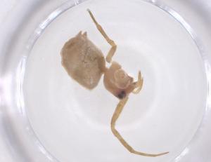  ( - CBG-B15278-F02)  @11 [ ] CreativeCommons - Attribution Share - Alike (2025) Centre for Biodiversity Genomics Centre for Biodiversity Genomics