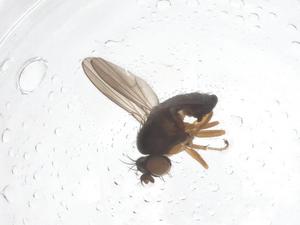  ( - CBG-B15738-F01)  @11 [ ] CreativeCommons - Attribution Share - Alike (2025) Centre for Biodiversity Genomics Centre for Biodiversity Genomics