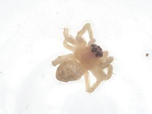  ( - CBG-B15740-F01)  @11 [ ] CreativeCommons - Attribution Share - Alike (2025) Centre for Biodiversity Genomics Centre for Biodiversity Genomics