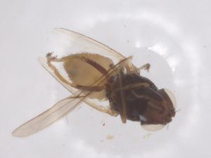  ( - CBG-B15755-E07)  @11 [ ] CreativeCommons - Attribution Share - Alike (2025) Centre for Biodiversity Genomics Centre for Biodiversity Genomics