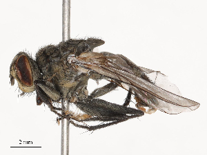  ( - CBG-B20052-A05)  @11 [ ] CreativeCommons - Attribution Share - Alike (2025) CBG Photography Group Centre for Biodiversity Genomics