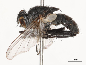  ( - CBG-B20052-A09)  @11 [ ] CreativeCommons - Attribution Share - Alike (2025) CBG Photography Group Centre for Biodiversity Genomics