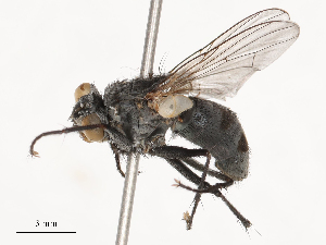  ( - CBG-B20052-A10)  @11 [ ] CreativeCommons - Attribution Share - Alike (2025) CBG Photography Group Centre for Biodiversity Genomics