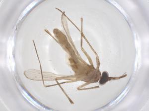  ( - CBG-B20070-G10)  @11 [ ] CreativeCommons - Attribution Share - Alike (2025) Centre for Biodiversity Genomics Centre for Biodiversity Genomics