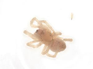  ( - CBG-B20071-E01)  @11 [ ] CreativeCommons - Attribution Share - Alike (2025) Centre for Biodiversity Genomics Centre for Biodiversity Genomics