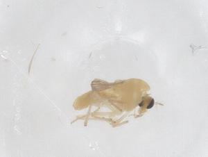  ( - CBG-B01054-C08)  @11 [ ] CreativeCommons - Attribution Share - Alike (2025) Centre for Biodiversity Genomics Centre for Biodiversity Genomics