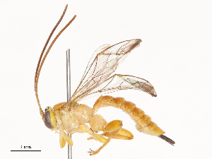  ( - CBG-B22938-B05)  @11 [ ] CreativeCommons - Attribution Share - Alike (2025) CBG Photography Group Centre for Biodiversity Genomics