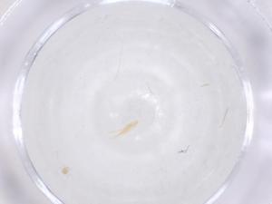  ( - CBG-B23236-B02)  @11 [ ] CreativeCommons - Attribution Share - Alike (2025) Centre for Biodiversity Genomics Centre for Biodiversity Genomics