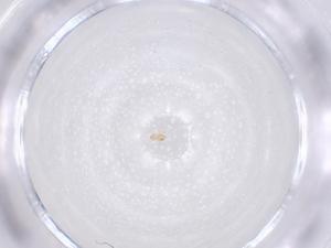  ( - CBG-B23236-C04)  @11 [ ] CreativeCommons - Attribution Share - Alike (2025) Centre for Biodiversity Genomics Centre for Biodiversity Genomics