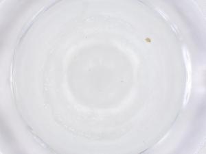  ( - CBG-B01057-D06)  @11 [ ] CreativeCommons - Attribution Share - Alike (2025) Centre for Biodiversity Genomics Centre for Biodiversity Genomics