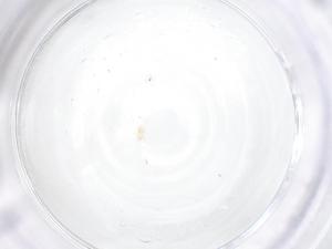  ( - CBG-B01057-H01)  @11 [ ] CreativeCommons - Attribution Share - Alike (2025) Centre for Biodiversity Genomics Centre for Biodiversity Genomics