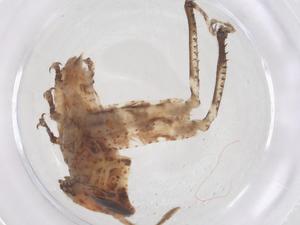  ( - CBG-B01180-B08)  @11 [ ] CreativeCommons - Attribution Share - Alike (2025) Centre for Biodiversity Genomics Centre for Biodiversity Genomics