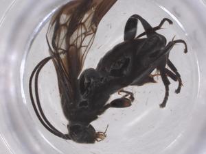  ( - CBG-B01206-C10)  @11 [ ] CreativeCommons - Attribution Share - Alike (2025) Centre for Biodiversity Genomics Centre for Biodiversity Genomics