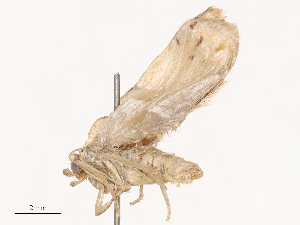  ( - CBG-B02342-B12)  @11 [ ] CreativeCommons - Attribution Share - Alike (2025) CBG Photography Group Centre for Biodiversity Genomics