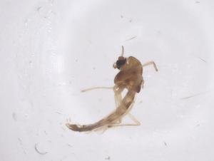  ( - CBG-B02364-F07)  @11 [ ] CreativeCommons - Attribution Share - Alike (2025) Centre for Biodiversity Genomics Centre for Biodiversity Genomics