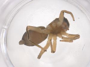  ( - CBG-B02366-C01)  @11 [ ] CreativeCommons - Attribution Share - Alike (2025) Centre for Biodiversity Genomics Centre for Biodiversity Genomics