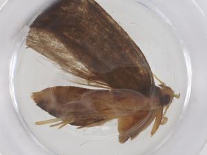  ( - CBG-B02433-D04)  @11 [ ] CreativeCommons - Attribution Share - Alike (2025) Centre for Biodiversity Genomics Centre for Biodiversity Genomics