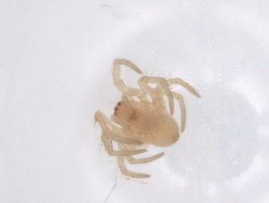  ( - CBG-B03700-E02)  @11 [ ] CreativeCommons - Attribution Share - Alike (2025) Centre for Biodiversity Genomics Centre for Biodiversity Genomics