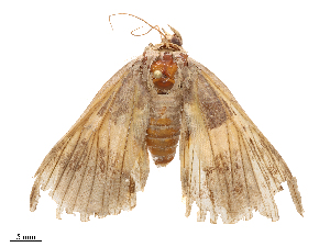  ( - CBG-B07945-D03)  @11 [ ] CreativeCommons - Attribution Share - Alike (2025) CBG Photography Group Centre for Biodiversity Genomics