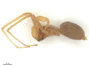  ( - CBG-B19319-H06)  @11 [ ] CreativeCommons - Attribution Share - Alike (2025) CBG Photography Group Centre for Biodiversity Genomics