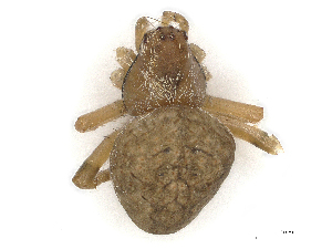  ( - CBG-A21659-H02)  @11 [ ] CreativeCommons - Attribution Share - Alike (2023) CBG Photography Group Centre for Biodiversity Genomics