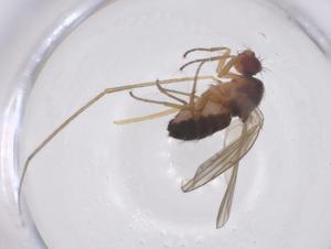  ( - CBG-B01596-E07)  @11 [ ] CreativeCommons - Attribution Share - Alike (2025) Centre for Biodiversity Genomics Centre for Biodiversity Genomics