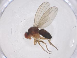  ( - CBG-B01596-G04)  @11 [ ] CreativeCommons - Attribution Share - Alike (2025) Centre for Biodiversity Genomics Centre for Biodiversity Genomics