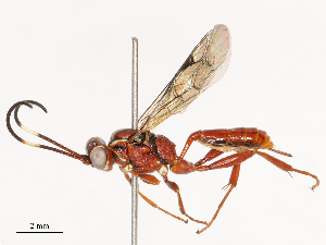  ( - CBG-B01644-B01)  @11 [ ] CreativeCommons - Attribution Share - Alike (2025) CBG Photography Group Centre for Biodiversity Genomics