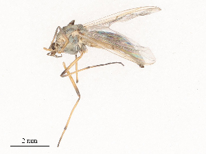  ( - CBG-B01644-G07)  @11 [ ] CreativeCommons - Attribution Share - Alike (2025) CBG Photography Group Centre for Biodiversity Genomics