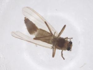  ( - CBG-B02930-G04)  @11 [ ] CreativeCommons - Attribution Share - Alike (2025) Centre for Biodiversity Genomics Centre for Biodiversity Genomics