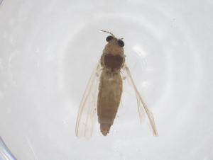  ( - CBG-B03285-E10)  @11 [ ] CreativeCommons - Attribution Share - Alike (2025) Centre for Biodiversity Genomics Centre for Biodiversity Genomics