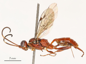  ( - CBG-B03416-F09)  @11 [ ] CreativeCommons - Attribution Share - Alike (2025) CBG Photography Group Centre for Biodiversity Genomics