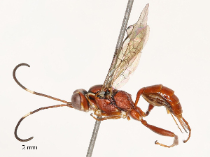  ( - CBG-B03416-F10)  @11 [ ] CreativeCommons - Attribution Share - Alike (2025) CBG Photography Group Centre for Biodiversity Genomics