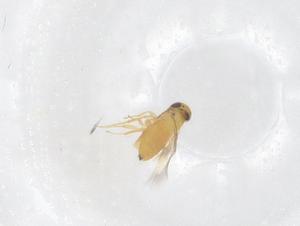  ( - CBG-B04192-F04)  @11 [ ] CreativeCommons - Attribution Share - Alike (2025) Centre for Biodiversity Genomics Centre for Biodiversity Genomics