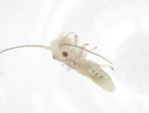  ( - CBG-B04192-H05)  @11 [ ] CreativeCommons - Attribution Share - Alike (2025) Centre for Biodiversity Genomics Centre for Biodiversity Genomics