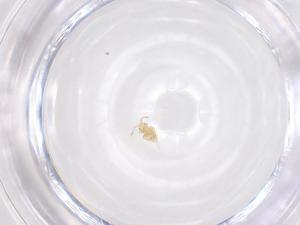  ( - CBG-B04218-F10)  @11 [ ] CreativeCommons - Attribution Share - Alike (2025) Centre for Biodiversity Genomics Centre for Biodiversity Genomics