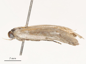  ( - CBG-B04361-D11)  @11 [ ] CreativeCommons - Attribution Share - Alike (2025) CBG Photography Group Centre for Biodiversity Genomics
