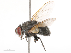  ( - CBG-B00076-E02)  @11 [ ] CreativeCommons - Attribution Share - Alike (2025) CBG Photography Group Centre for Biodiversity Genomics