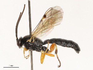  ( - CBG-B00089-H10)  @11 [ ] CreativeCommons - Attribution Share - Alike (2025) CBG Photography Group Centre for Biodiversity Genomics