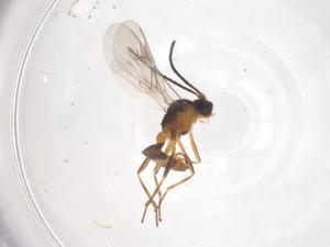  ( - CBG-B00102-H11)  @11 [ ] CreativeCommons - Attribution Share - Alike (2025) Centre for Biodiversity Genomics Centre for Biodiversity Genomics