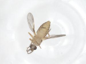  ( - CBG-B00117-H11)  @11 [ ] CreativeCommons - Attribution Share - Alike (2025) Centre for Biodiversity Genomics Centre for Biodiversity Genomics