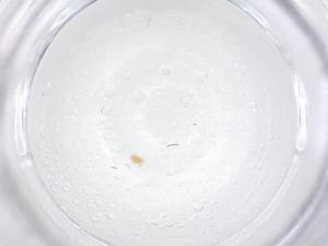  ( - CBG-B01698-E12)  @11 [ ] CreativeCommons - Attribution Share - Alike (2025) Centre for Biodiversity Genomics Centre for Biodiversity Genomics