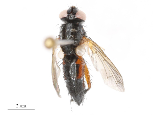  ( - CBG-B04136-E09)  @11 [ ] CreativeCommons - Attribution Share - Alike (2025) CBG Photography Group Centre for Biodiversity Genomics