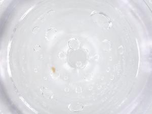  ( - CBG-B21037-G09)  @11 [ ] CreativeCommons - Attribution Share - Alike (2025) Centre for Biodiversity Genomics Centre for Biodiversity Genomics