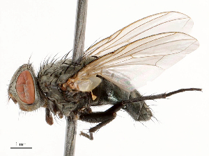  ( - CBG-B21311-B01)  @11 [ ] CreativeCommons - Attribution Share - Alike (2025) CBG Photography Group Centre for Biodiversity Genomics