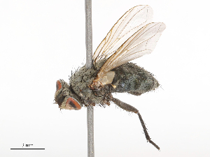  ( - CBG-B21311-B05)  @11 [ ] CreativeCommons - Attribution Share - Alike (2025) CBG Photography Group Centre for Biodiversity Genomics