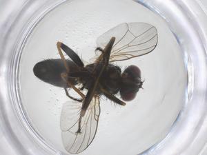  ( - CBG-B21319-H06)  @11 [ ] CreativeCommons - Attribution Share - Alike (2025) Centre for Biodiversity Genomics Centre for Biodiversity Genomics