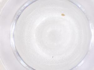  ( - CBG-B21395-C03)  @11 [ ] CreativeCommons - Attribution Share - Alike (2025) Centre for Biodiversity Genomics Centre for Biodiversity Genomics