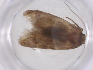  ( - CBG-B22151-B06)  @11 [ ] CreativeCommons - Attribution Share - Alike (2025) Centre for Biodiversity Genomics Centre for Biodiversity Genomics