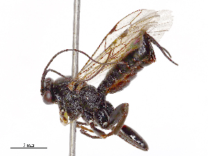  ( - CBG-B23321-F12)  @11 [ ] CreativeCommons - Attribution Share - Alike (2025) CBG Photography Group Centre for Biodiversity Genomics